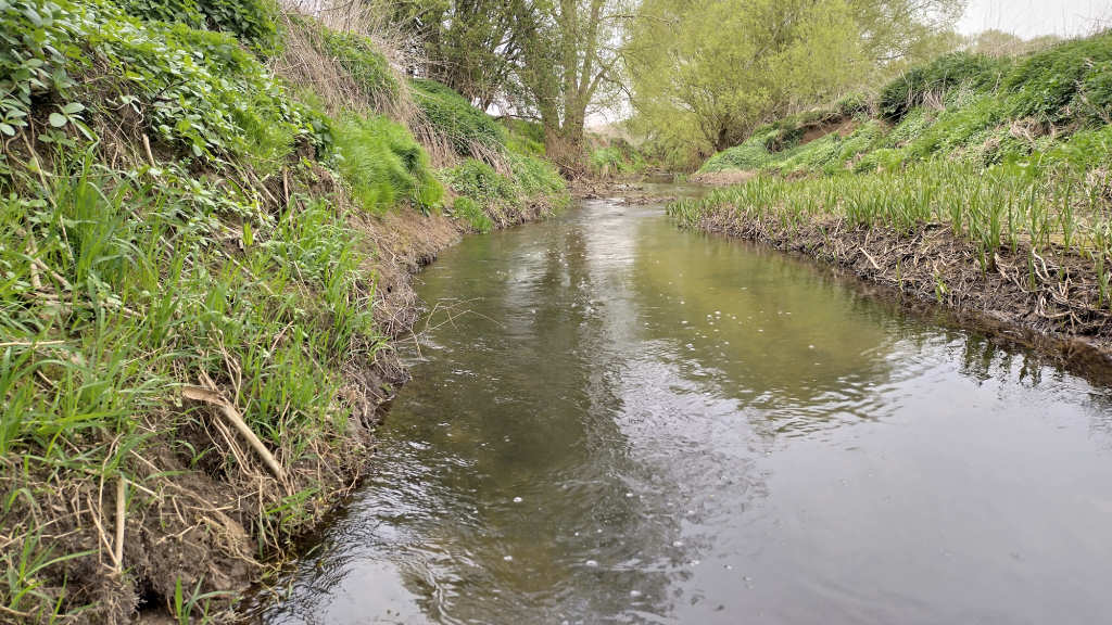 Photo of the Cod Beck run